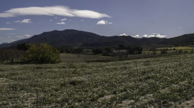 Denuncian a la Fiscalía la macroplanta fotovoltaica que Iberdrola prevé instalar en Alcoy