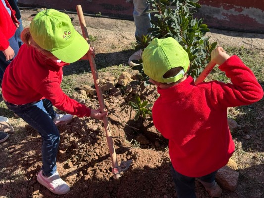 Medio Ambiente reparte cerca de 85.000 plantas autóctonas a colegios, entidades y ayuntamientos