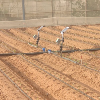 La CARM busca optimizar el uso de fertilizantes agrícolas y mejorar el estado de las aguas subterráneas y superficiales
