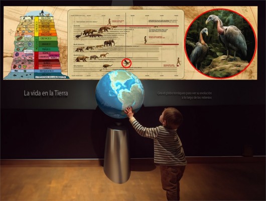 El Museo de Ciencias Naturales de València cierra sus puertas por obras