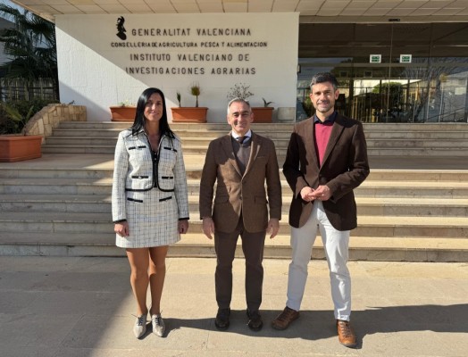 Alejandro Tena, ratificado como nuevo director del Ivia