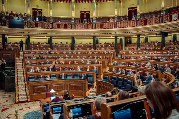 El Congreso fija para el 12 de febrero el debate y votación del decreto ómnibus que apoyarán PP y Junts