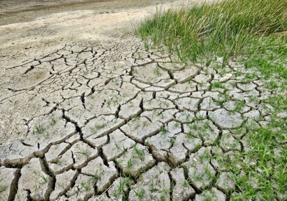 Expertos reclaman estrategias de mitigación del cambio climático y advierten de 