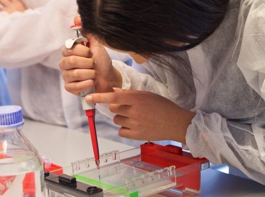La UA celebra el Día Internacional de la Mujer y la Niña en la Ciencia