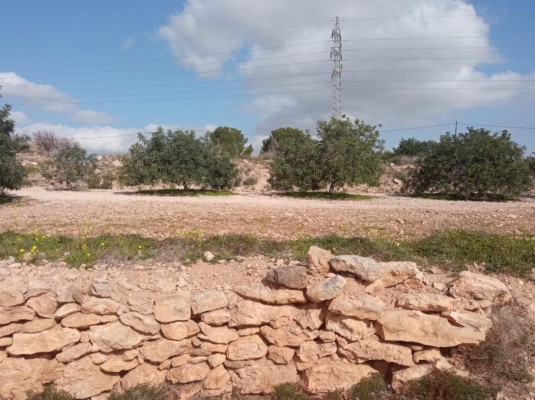 El yacimiento arqueológico de la Rambla de Peñas Blancas del Ladrillar, declarado 'Bien de Interés catalogado'