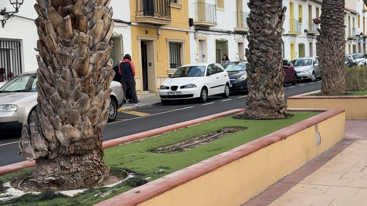 Estado de algunas de las jardineras a reformar - 