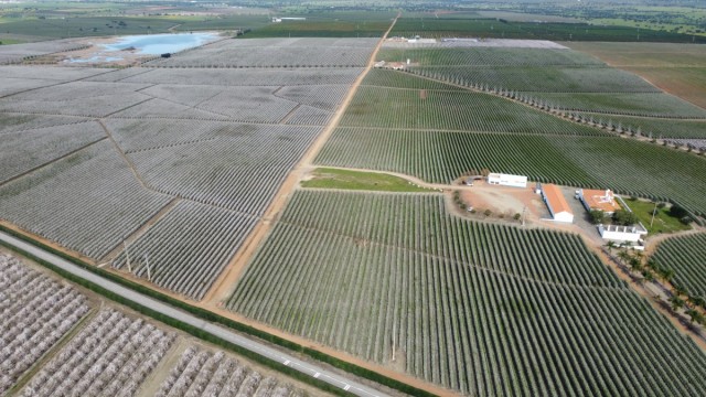 Una empresa de Martinavarro y Ballester vende una finca de 700 hectáreas de Portugal