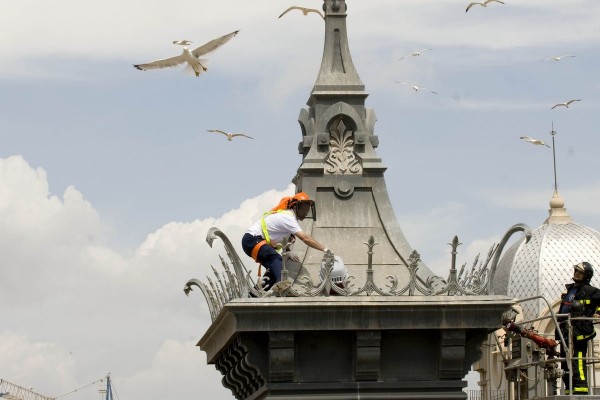 Cartagena destina 1,3 millones al control de plagas y mosquito tigre en un contrato de cuatro años