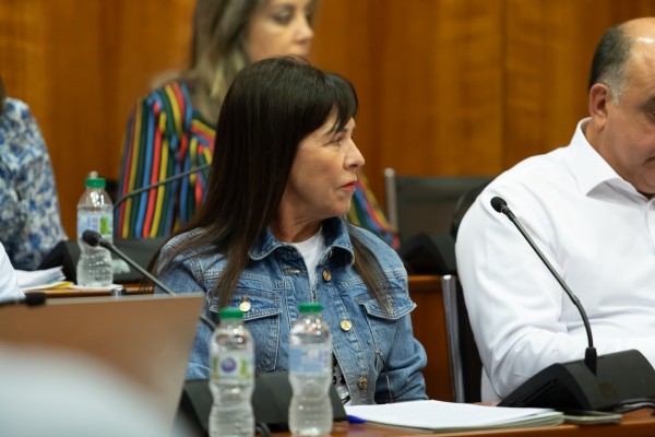 Orihuela adjudica a Psicas AYF el informe para trabajar con colectivos vulnerables: 12.100 euros y estará listo en 11 meses