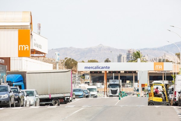 Mercalicante cierra 2024 con un crecimiento del 3,2% en su cifra de negocio