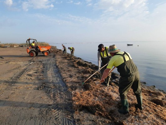 El Mar Menor ya tiene quien lo limpie: adjudican la retirada de biomasa vegetal por 13 millones