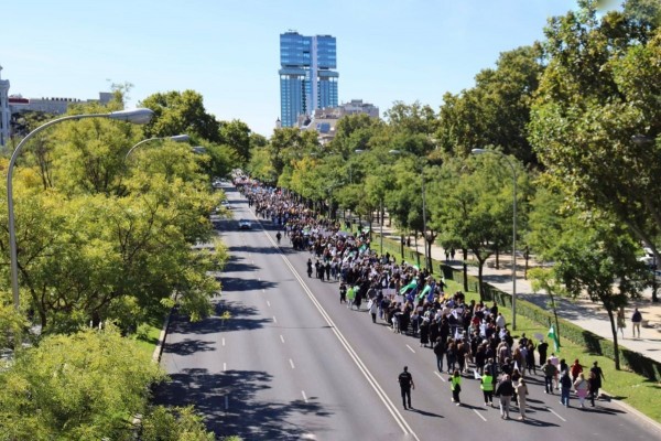Mantienen la convocatoria de una nueva manifestación por la 'pasarela al RETA' a pesar de la fuerte división de los profesionales