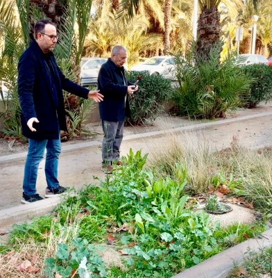 El PSOE de Elche exige al bipartito más atención a los barrios por el abandono y suciedad 
