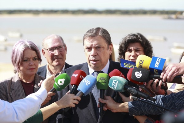 Planas aboga por 