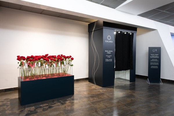 Caldea instala un ‘jardín de rosas’ para San Valentín