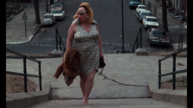 La Rambleta levanta su 'Telón bizarro' con ‘Pink Flamingos’
