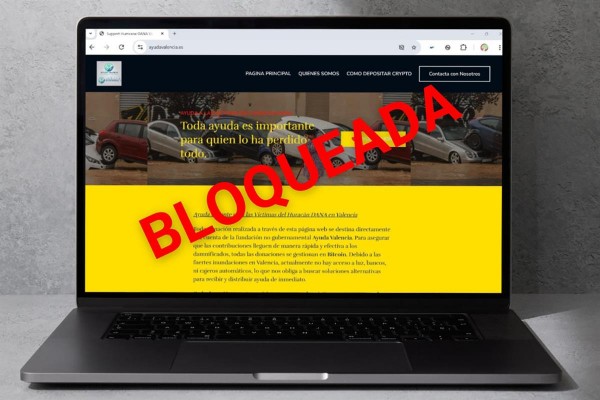 El Gobierno bloquea la web 'ayudavalencia.es' por indicios de fraude
