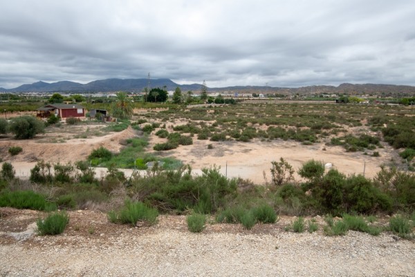 La Agencia del Territorio pone el foco en Elche en parcelaciones ilegales que acaban en Fiscalía o en casas prefabricadas