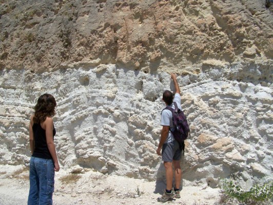 Elche acogerá en el Mupe las primeras jornadas sobre patrimonio geológico y paleontológico