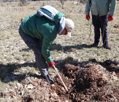 RH Hoteles compensa 150 toneladas de CO2 con la plantación de 739 árboles en la Marina Alta 