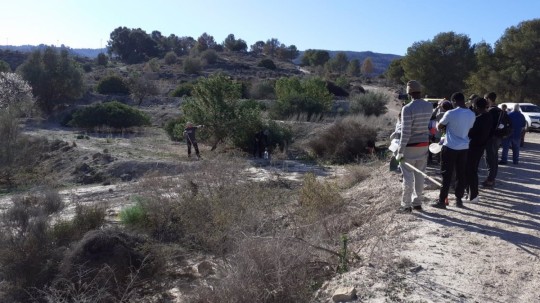Planes de naturaleza gratis en Murcia: ocho rutas guiadas y talleres para descubrir su entorno desde octubre