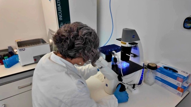 Viva in Vitro probará sus marcadores con para detectar la sepsis en los pacientes de la Arrixaca