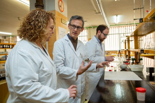 La UA impulsa un proyecto pionero para recuperar el sabor del tomate utilizando residuos de Posidonia oceanica
