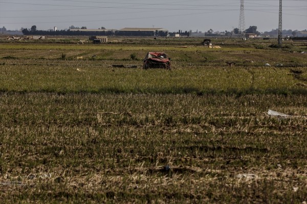 Santander aumenta un 65% la financiación al sector agroalimentario valenciano en el primer semestre, con 350 millones
