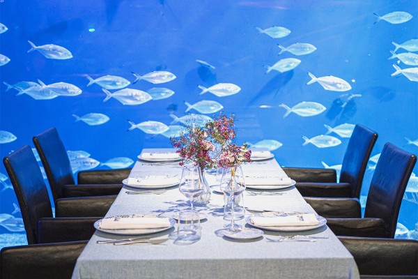 Mustiguillo y Restaurante Submarino: vive un maridaje mediterráneo en el acuario más grande de Europa