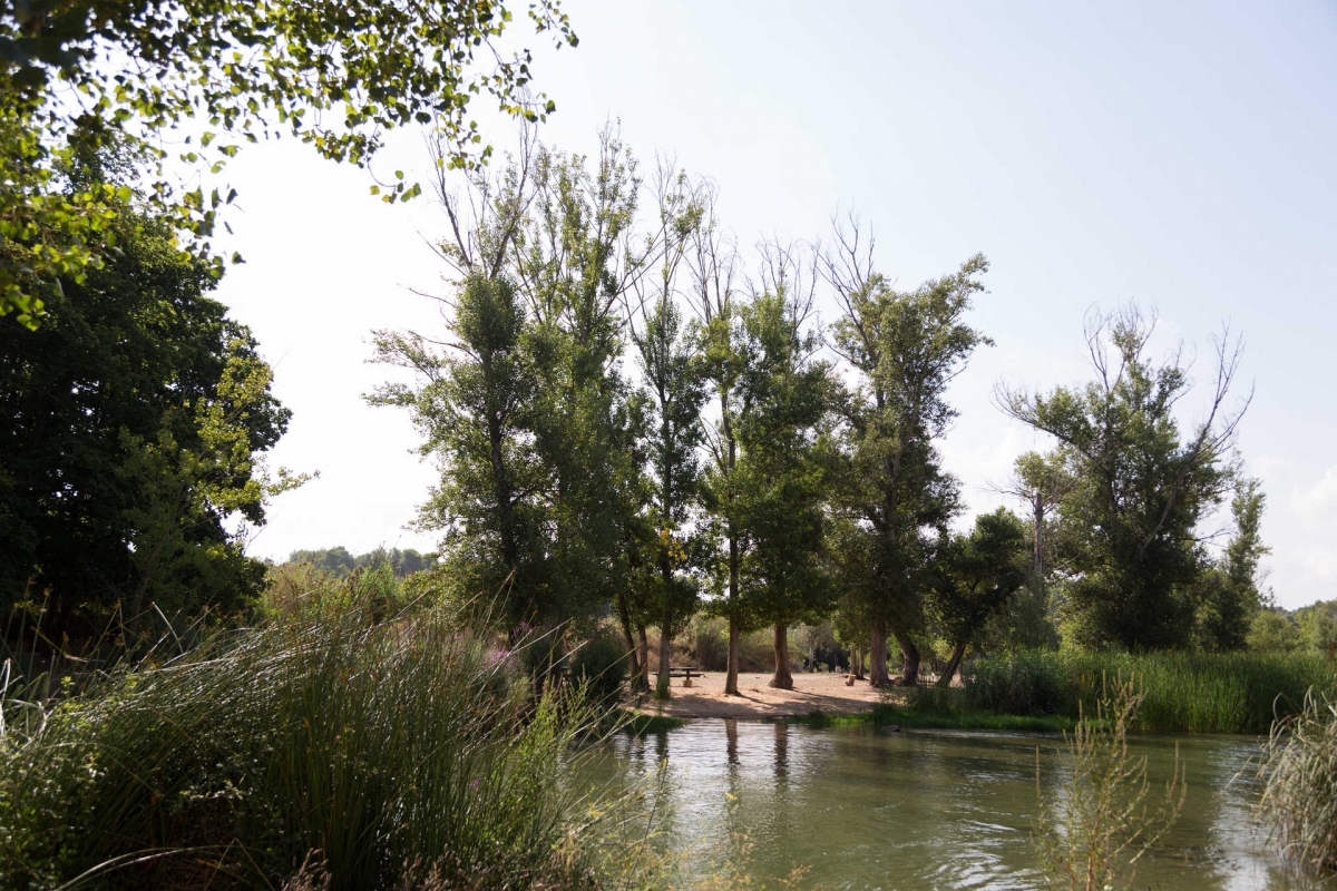 El Parque Natural del Turia, en una imagen de archivo