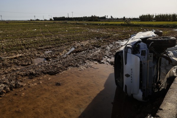 El impacto de la Dana en la marjal: Los agricultores se enfrentan a la campaña del arroz con los campos 
