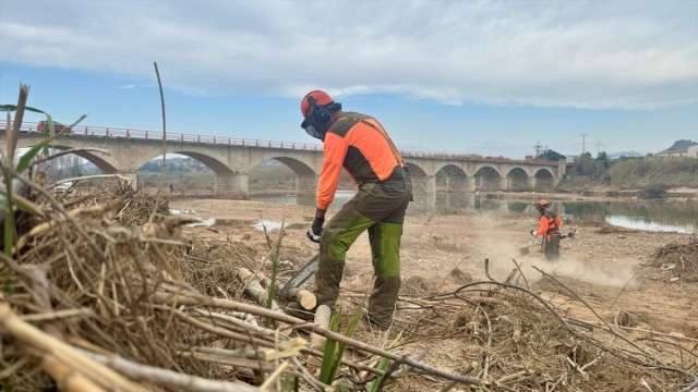 El PSPV-PSOE reclama un plan integral de recuperación y mejora del Parque Natural del Turia tras la Dana