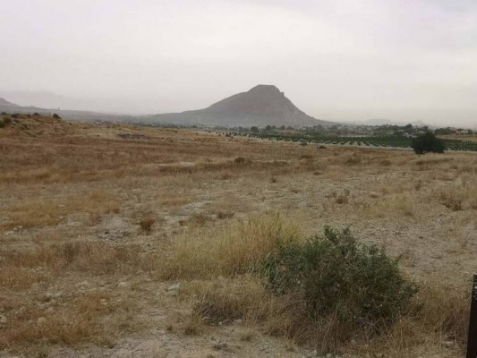Eurener modifica su proyecto solar de Santa Anna en Elche tras el rechazo de la línea de evacuación