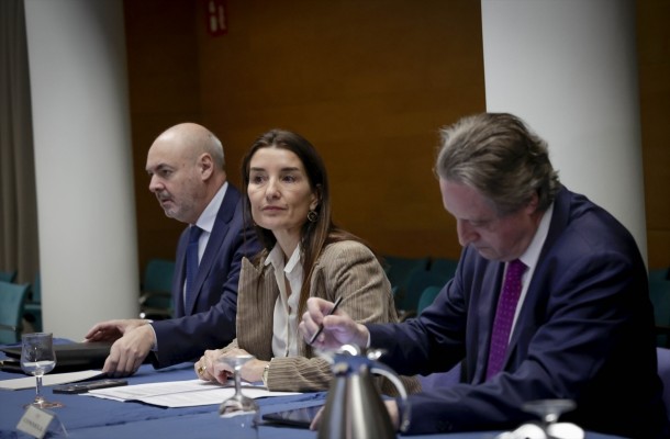 Merino tilda de 