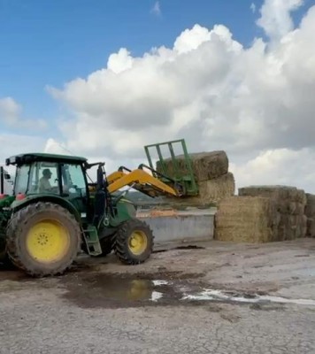 Agricultura gestiona el reparto de alimento y agua a explotaciones ganaderas con problemas de acceso