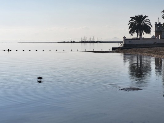 El Gobierno regional ya tiene a 36 de los 56 miembros del Consejo del Mar Menor y el Comité de Asesoramiento Científico