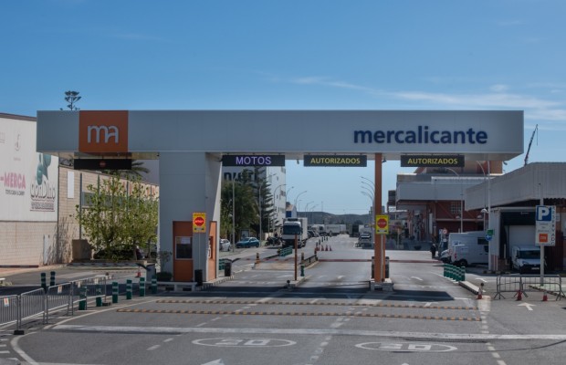 Mercalicante busca el 'sold out' y licita otra veintena de espacios tras rebasar el 90% de ocupación