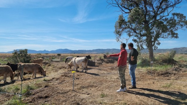 Torreblanca y Globale Nature mejoran el proyecto de ganadería extensiva con nuevos espacios