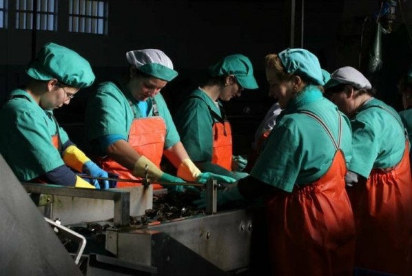 La ocupación femenina crece un 2,1% en 2024: Hostelería, educación y servicios sociales, sectores líderes