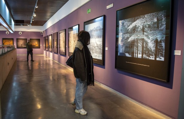 La fotógrafa estadounidense Carolyn Marks Blackwood fusiona imágenes y palabras en las paredes del MuVIM