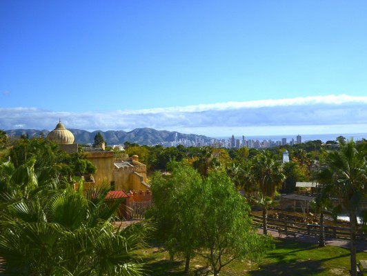 Un año de aventuras en Terra Natura Benidorm