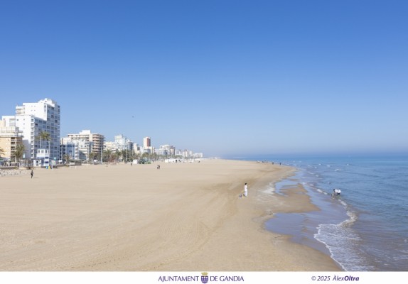 Gandia reclama a les administracions superiors que assumisquen les despeses de neteja de les platges afectades per la Dana