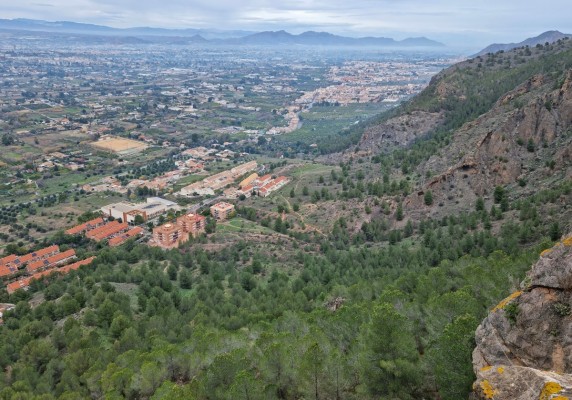 La Región realizará nuevos estudios sobre la flora en dos Lugares de Interés Botánico para asegurar su preservación