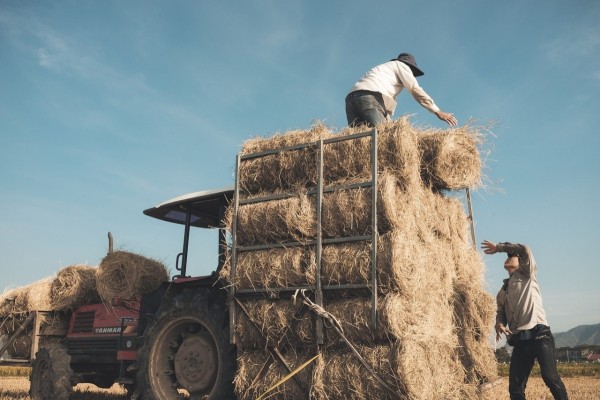 El Gobierno abre la consulta pública de la Ley de Agricultura Familiar