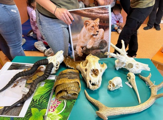 Terra Natura Benidorm celebra el Día Mundial de la Vida Silvestre con una jornada educativa en La Nucía