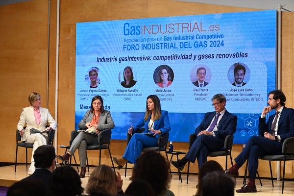 La industria gasintensiva defiende el uso del gas natural hasta que las renovables sean viables
