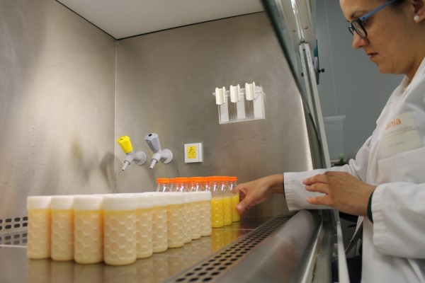 La Generalitat convoca 17,5 millones en ayudas a proyectos de investigación en centros tecnológicos y empresas