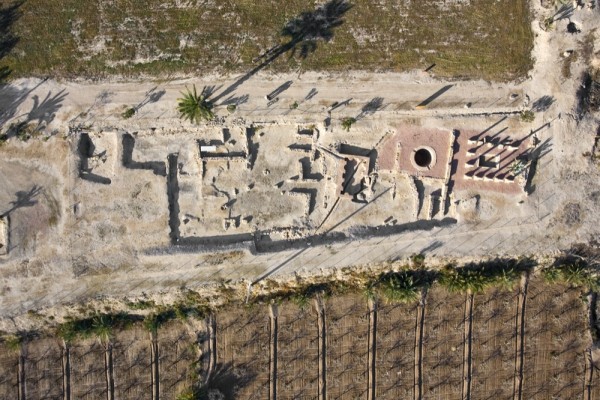 La Alcudia se muestra desde distintos prismas en la nueva exposición de la Biblioteca General de la UA