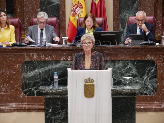 La Asamblea exige más recursos para la conciliación y contra la violencia de género en un áspero debate con el 8M a las puertas