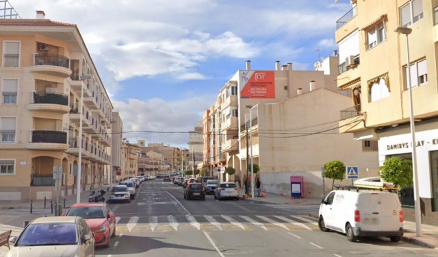 Elche extiende la plantación de arbolado a las pedanías, con actuaciones en L'Altet y Torrellano